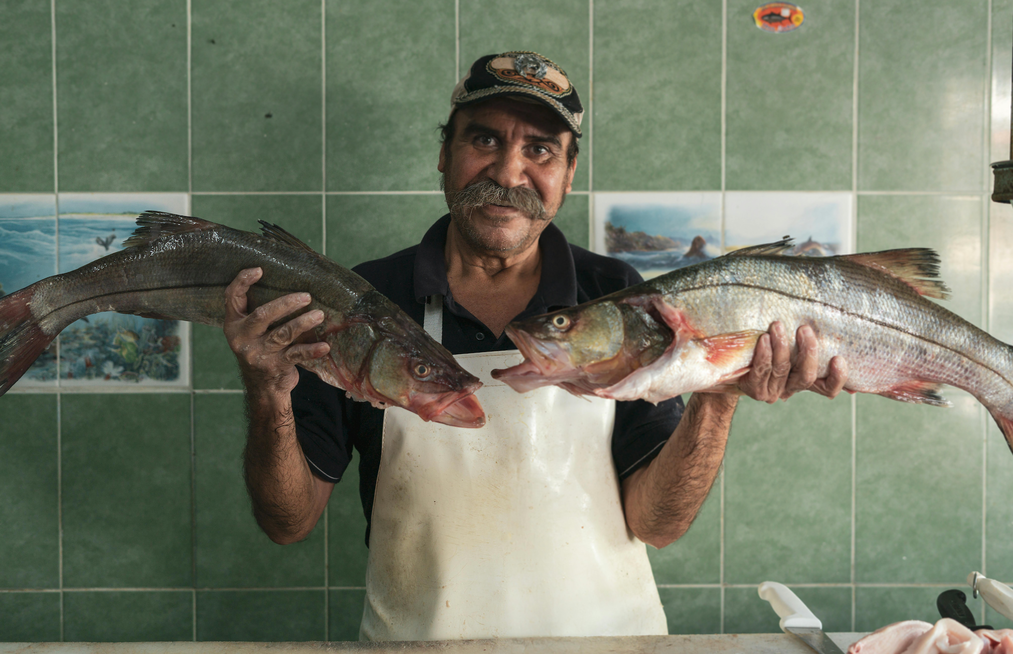 Banner speichern 01997805b9437c0c8c3b7cfedf4c2d45